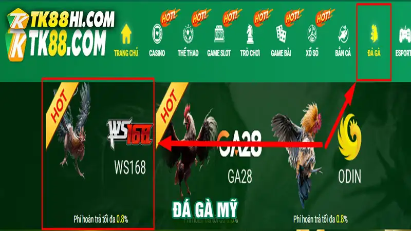 Cách vào sảnh đá gà WS168