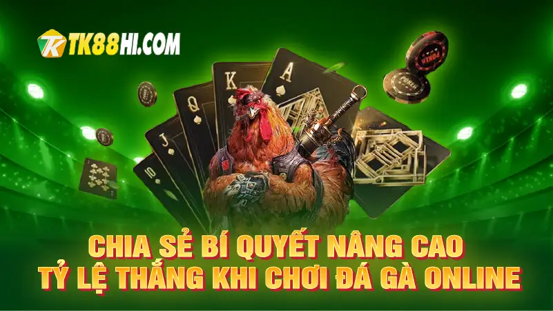 Chia sẻ bí quyết nâng cao tỷ lệ thắng khi chơi đá gà online