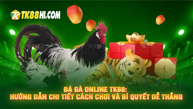 Đá Gà Online TK88