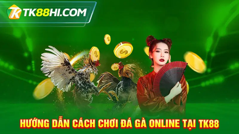 Hướng dẫn cách chơi đá gà online tại TK88 cho người chưa biết gì