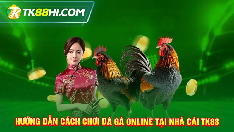 Hướng dẫn cách chơi đá gà online tại nhà cái TK88