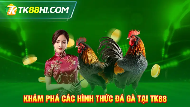 Khám phá các hình thức đá gà tại TK88