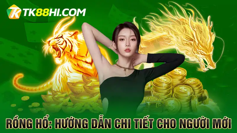 Rồng Hổ Hướng dẫn chi tiết cho người mới