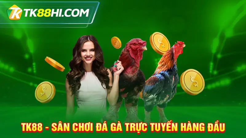 TK88 - Sân chơi đá gà trực tuyến hàng đầu